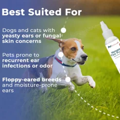 Pet Scholars Ketozole Tris Flush Anti-fungal Cleansing Solution, 12 fl oz