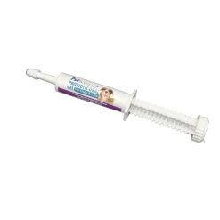 Pet Scholars Probiotic Oral Gel for Dogs & Cats