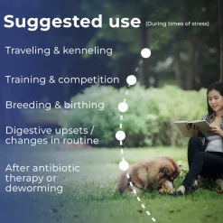 Pet Scholars Probiotic Oral Gel for Dogs & Cats