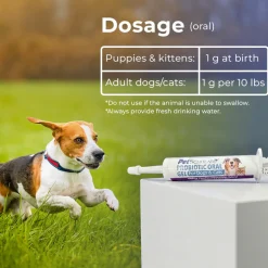 Pet Scholars Probiotic Oral Gel for Dogs & Cats