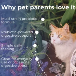 Pet Scholars Probiotic Oral Gel for Dogs & Cats