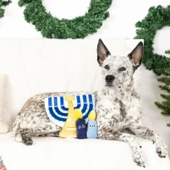 PetShop by Fringe Studio A Lit Hanukkah Hide & Seek Plush Dog Toy