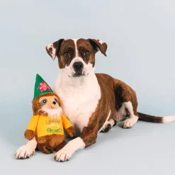 PetShop by Fringe Studio Chillin' With My Gnomies Sloth Plush Toy For Dogs