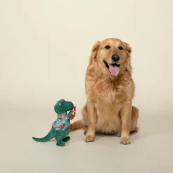 PetShop by Fringe Studio It's 5 O'Clock Somewhere Dinosaur Plush Toy For Dogs