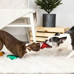 PetShop by Fringe Studio Light Up My Life Short Dog Toy Set, Small, 3-piece