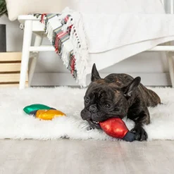 PetShop by Fringe Studio Light Up My Life Short Dog Toy Set, Small, 3-piece