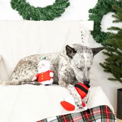 PetShop by Fringe Studio Mr. & Mrs. Santa Paws Plush Dog Toy Set, 2-piece