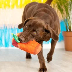 PetShop by Fringe Studio Muttchelada Plush Toy For Dogs