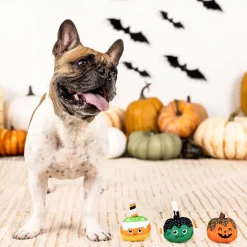 PetShop by Fringe Studio No Trick Just Treat Dog Toy Set, Small, 3-count