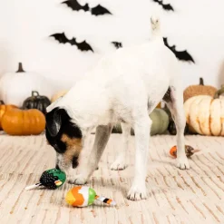 PetShop by Fringe Studio No Trick Just Treat Dog Toy Set, Small, 3-count