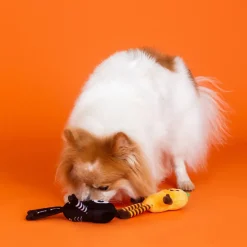 PetShop by Fringe Studio “Oh My Gourd!” 2-Piece Plush Dog Toy Set