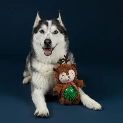 PetShop by Fringe Studio Rein It in, Pal! Plush & Squeaker Ball Toy For Dogs