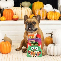 Petshop By Fringe Studio Tricky Treats Hide Seek Plush Toy For Dogs