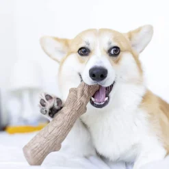 Petstages Dogwood Durable Stick Dog Toy
