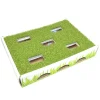 Petstages Grass Patch Hunting Box Toy For Cats