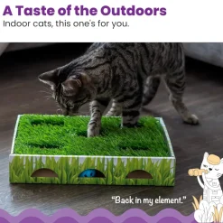 Petstages Grass Patch Hunting Box Toy For Cats