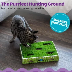 Petstages Grass Patch Hunting Box Toy For Cats