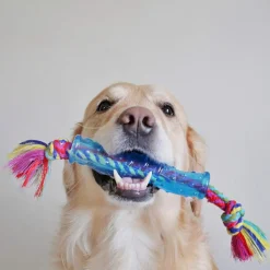 Petstages ORKA Stick Dog Toy