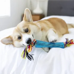 Petstages ORKA Stick Dog Toy