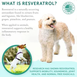 Petthrive Soft Chews with Resveratrol Advance Joint Care for Dogs