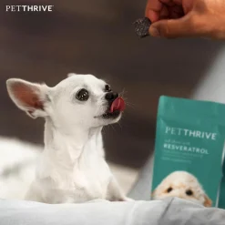 Petthrive Soft Chews with Resveratrol Advance Joint Care for Dogs