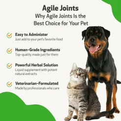 Pet Wellbeing- Agile Joints for Cat Joint Mobility