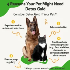 Pet Wellbeing Detox Gold for Cats