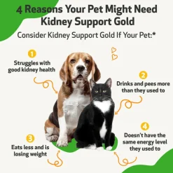 Pet Wellbeing Kidney Support Gold for Dogs