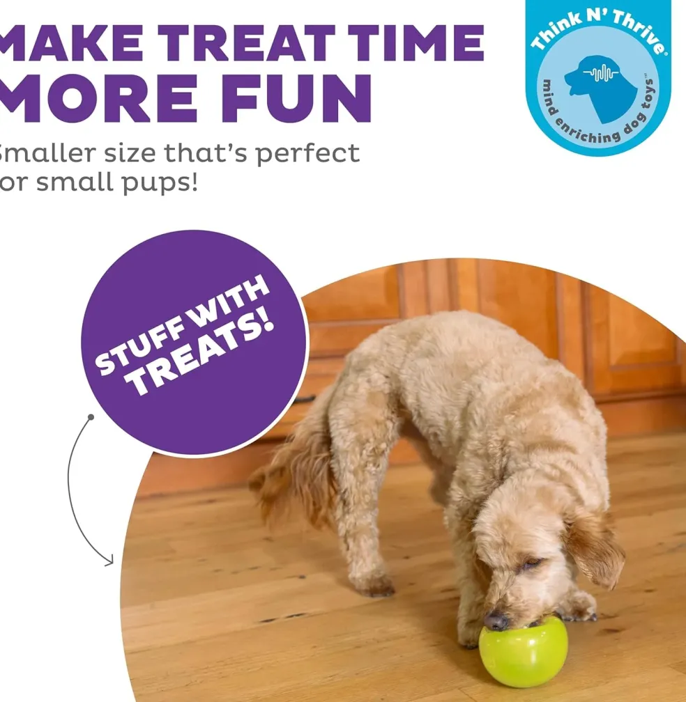 Planet Dog Orbee-Tuff Lil' Snoop Interactive Treat Dispensing Toy, Small