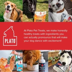 Plato Thinkes Real Lamb Recipe Sticks Dog Treats