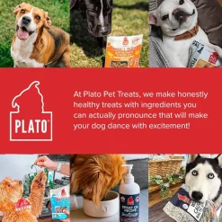 Plato Thinkes Real Salmon Recipe Sticks Dog Treats, 18-oz