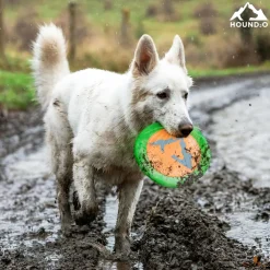 Playology Hound2O Reflective Flyer Orange Dog Toy