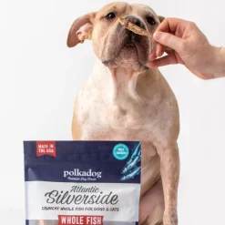 Polkadog Atlantic Silverside Crunchy Whole Fish for Dogs & Cats, 2.5-oz