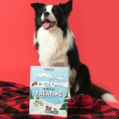 Polkadog 12 Days of Treating, Assorted Dog & Cat Treat Holiday Calendar