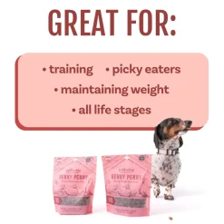 Polkadog Henny Penny Chicken & Cranberry Crunchy Training Bits for Dogs & Cats
