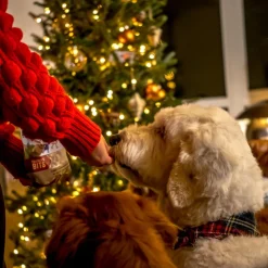 Polkadog Holiday Season's Eatings Turkey & Cranberry Soft & Chewy Training Dog Treats (12 oz)