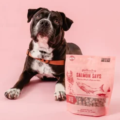 Polkadog Salmon Says Crunchy Training Bits Treats for Dogs & Cats