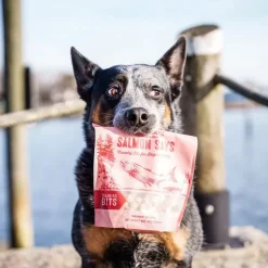 Polkadog Salmon Says Crunchy Training Bits Treats for Dogs & Cats