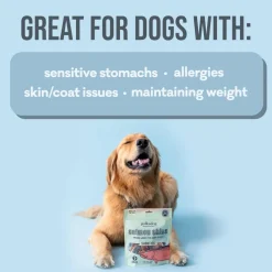 Polkadog Salmon Skins Shorties Smoked Salmon Jerky (3 oz)