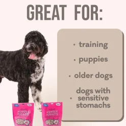 Polkadog Wonder Nuggets Soft & Chewy Bits Turkey & Cranberry Flavor Training Treats for Dogs