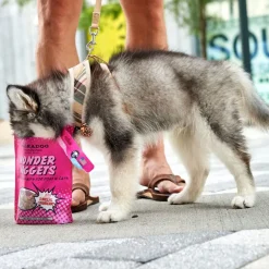 Polkadog Wonder Nuggets Soft & Chewy Bits Turkey & Cranberry Flavor Training Treats for Dogs