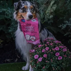 Polkadog Wonder Nuggets Soft & Chewy Bits Turkey & Cranberry Flavor Training Treats for Dogs