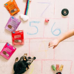 Polkadog Wonder Nuggets Soft & Chewy Bits Turkey & Cranberry Flavor Training Treats for Dogs