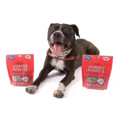Polkadog Wonder Nuggets Sweet Potato & Beef Liver Soft & Chewy Bits for Dogs (10 oz)