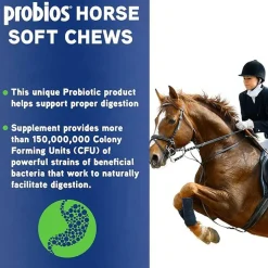 Probios Digestive Support Soft Chews for Horses (1.32 lbs)