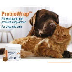 Probiowrap Pill Wrap Paste w/ Probiotics for Dogs & Cats, 4.2-oz