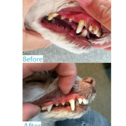 ProDen DentalCare Powder for Cats, 60 gm