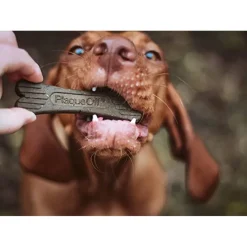 ProDen PlaqueOff System Dental Care Bone Dog Treats, 13 count
