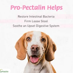 Pro-Pectalin Tablets - Anti Diarrhea Medicine for Dogs & Cats Tablets