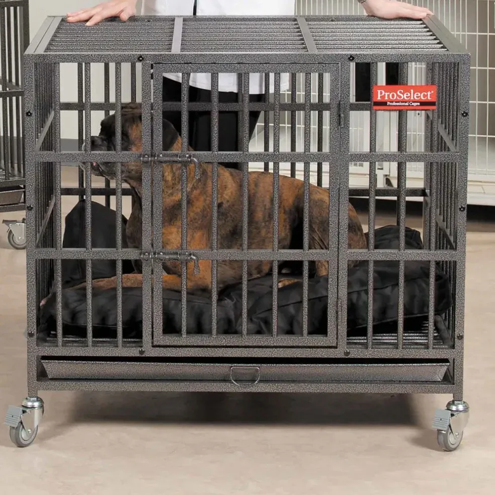 ProSelect Empire Dog Cages